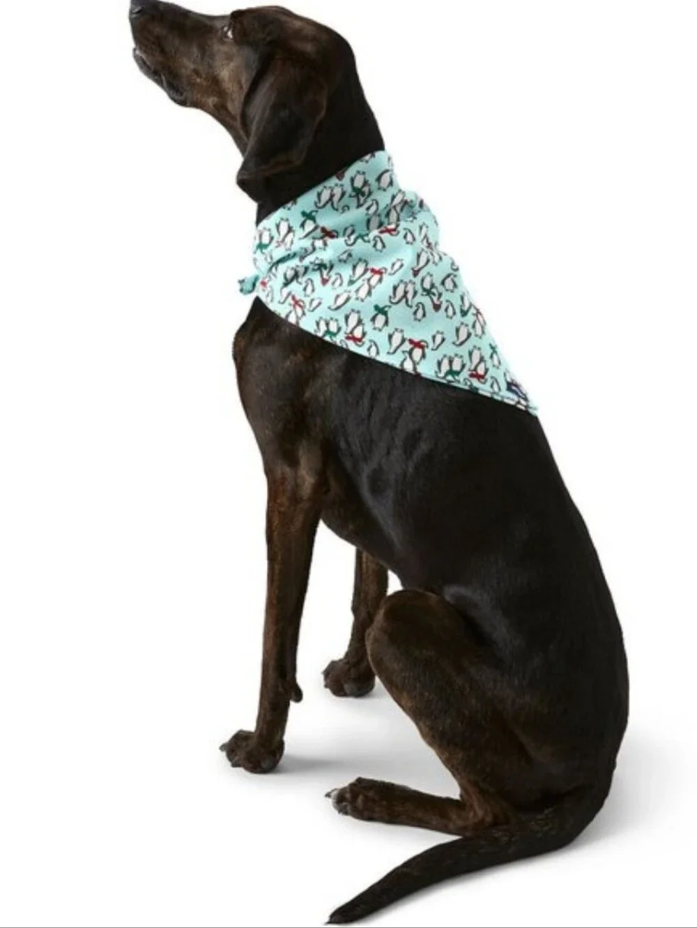 Lands' End Dog Bandana Large Light Blue Winter Penguin Print L